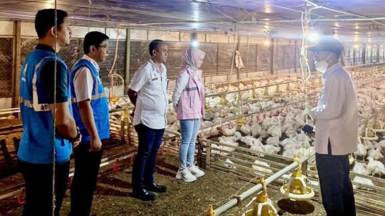 Melalui inisiatif Electrifying Agriculture, PLN menjalankan langkah ekstensifikasi dengan mendorong penggunaan listrik di sektor peternakan untuk meningkatkan penjualan tenaga listrik nasional. (dok. Humas PLN)