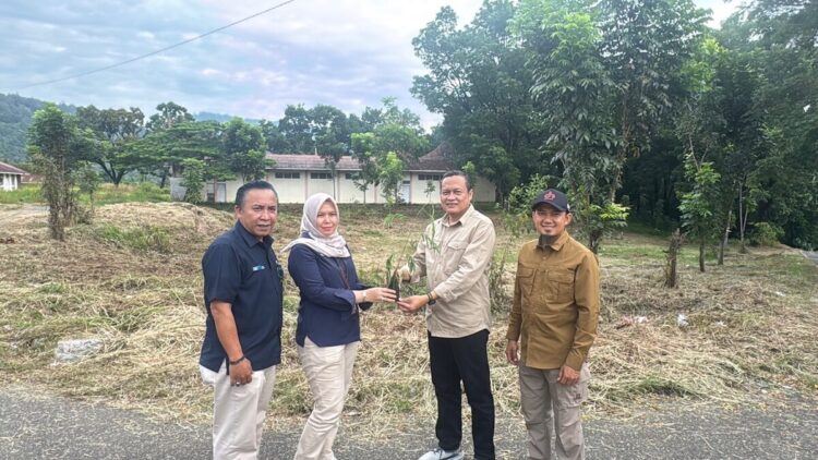 Penyerahan bibit kaliandra dari PT Semen Padang ke Kwarda Sumbar. (dok. Humas)