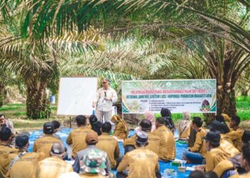 Petani mitra PTPN IV PalmCo dapat sertifikasi. (dok. istimewa)