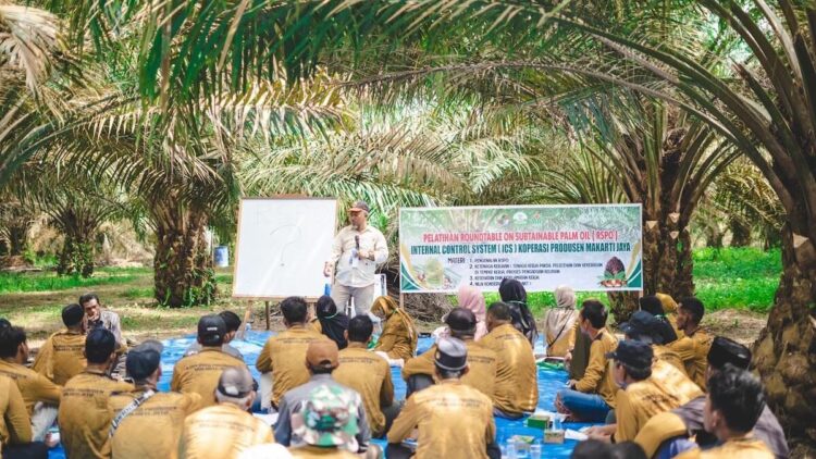 Ratusan Petani Mitra PTPN IV PalmCo Segera Kantongi Sertifikasi RSPO 1 Petani mitra PTPN IV PalmCo dapat sertifikasi. (dok. istimewa)