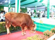 Kapolri Serahkan 9.648 Hewan Kurban untuk Masyarakat