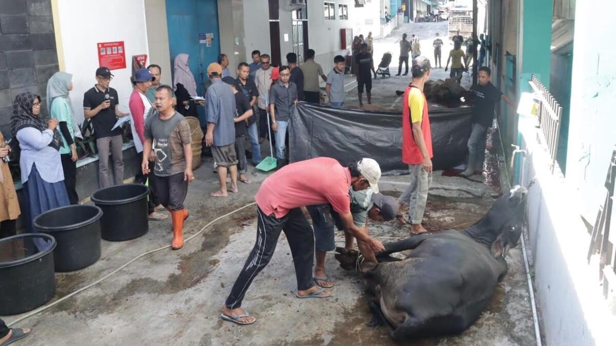 Suasana penyembelihan hewan kurban di kantor PLN UID Sumbar. (dok. Humas PLN)