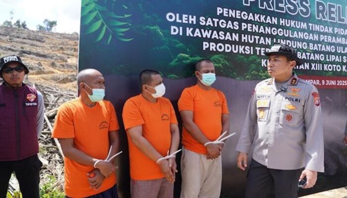 Empat Tersangka Kasus Perambahan Hutan Lindung Berhasil Ditangkap Polda Riau
