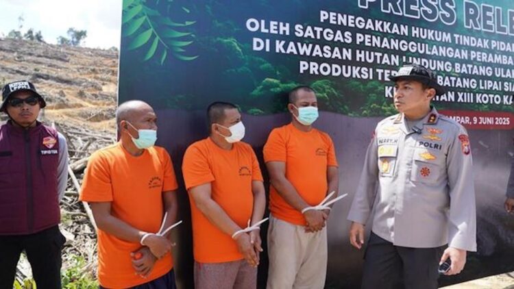 Tersangka kasus perambahan hutan di Riau. (dok. Humas Polda Riau)