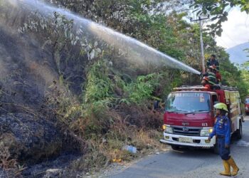Tim Damkar padamkan kebakaran lahan di Padang. (dok. Damkar Padang)