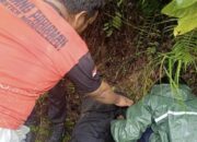 Hilang 4 Hari, Gadis di Padang Pariaman Ditemukan Selamat di Jurang Belakang Rumah