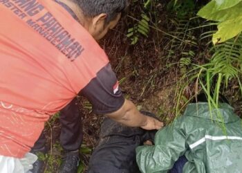 Hilang 4 Hari, Gadis di Padang Pariaman Ditemukan Selamat di Jurang Belakang Rumah 1 Hilang 4 Hari, Gadis di Padang Pariaman Ditemukan Selamat di Jurang Belakang Rumah