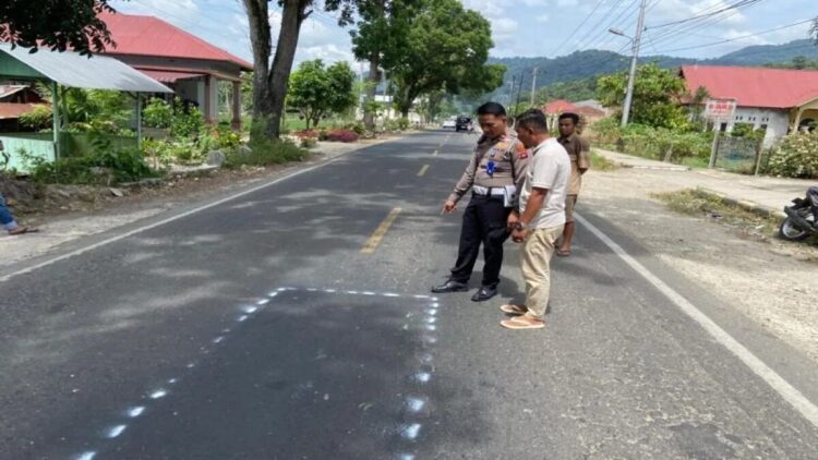Kanit Gakkum Satlantas Polres Pasaman Ipda Armen Nasir saat melakukan olah tempat kejadian kasus kecelakaan lalu lintas salah satu jalan raya di daerah setempat baru-baru ini. ANTARA/HO-Satlantas Polres Pasaman.