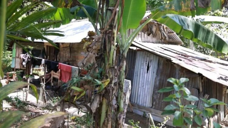 Viral Lansia Tinggal di Hutan, Pemnag Saruaso Tanah Datar Bantah tak Beri Bantuan 1 Pondok Nenek Ramian (78) tinggal bersama anaknya (Antara/Etri Saputra)