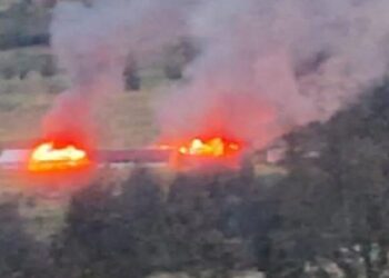 KKB Bakar Gedung dan Rumah Guru SD di Distrik Omukia, Puncak Papua