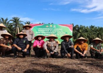 Polres Pasaman Barat Targetkan Tanam 250 Hektare Jagung Dukung Ketahanan Pangan
