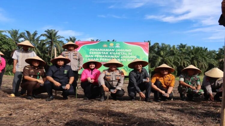 Kepala Polres Pasaman Barat AKBP Agung Tribawanto saat melakukan penanaman jagung di lahan perhutanan sosial Jorong Kampung Cubadak Nagari (Desa) Lingkuang Aua Kecamatan Pasaman, Rabu (9/7/2025). ANTARA/HO-Humas Polres Pasaman Barat.