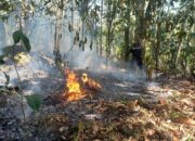 BNPB Laporkan 7 Kasus Bencana dalam 24 Jam, di Sumbar 308 Hektare Hutan dan Lahan Terbakar