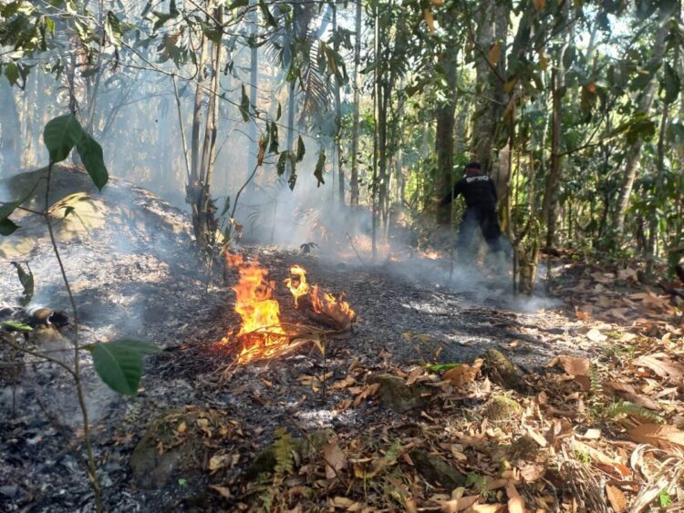 Kondisi kebakaran hutan dan lahan di Kabupaten Tanah Datar, Sumatera Barat, Jumat (18/7). (Foto: BPBD Kabupaten Tanah Datar)