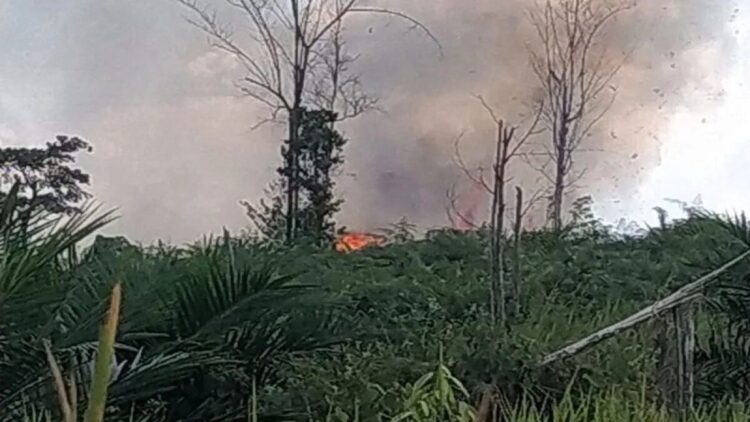 Tahura Sultan Thaha Syaifuddin Jambi Terbakar, Petugas masih Berjibaku Padamkan Api 1 Api masih menyala di dalam kawasan kawasan Taman Hutan Raya (Tahura) Sultan Thaha Syaifuddin di Kabupaten Batang Hari, Minggu (20/7/2025). (ANTARA/HO- Dinas Lingkungan Hidup Batang Hari)