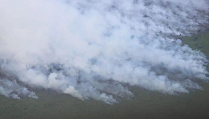 Riau Darurat Karhutla, BNPB Tambah Heli Water Bombing dan Lanjutkan OMC
