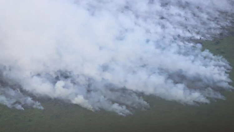 Foto udara kebakaran lahan di Kabupaten Rokan Hilir, Riau (ANTARA/HO-BNPB)