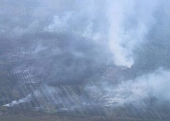 16 Tersangka Pembakar Hutan Ditetapkan di Riau, BNPB: Penegakan Hukum Jalan Terus