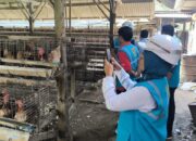 PLN Hadirkan Listrik untuk Rakyat, Usaha Terkotekras Kini Makin Efisien