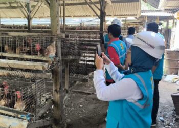 Tim dari PLN UP3 Padang cek lokasi usaha mitra. (dok. istimewa)