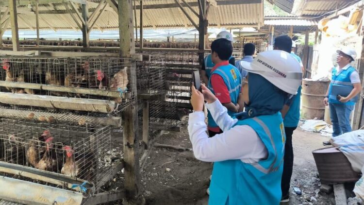 Tim dari PLN UP3 Padang cek lokasi usaha mitra. (dok. istimewa)