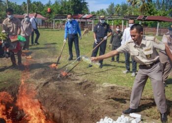 Ilegal, Balai Karantina Sumbar Musnahkan 83 Kg Komoditas Asal Malaysia-Singapura