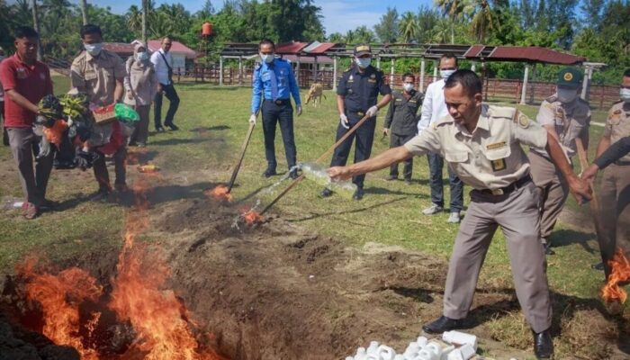 Ilegal, Balai Karantina Sumbar Musnahkan 83 Kg Komoditas Asal Malaysia-Singapura