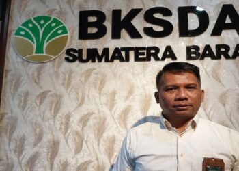 Anak Harimau Sumatra Mati di TMSBK Bukittinggi, Diduga karena Malnutrisi-Dehidrasi