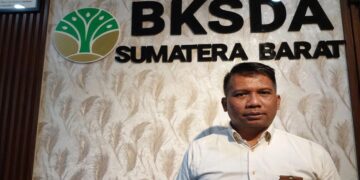 BKSDA Sumbar Susun SOP Pendakian Gunung Cegah Kecelakaan, Fokus Marapi dan Sekitarnya 4 Anak Harimau Sumatra Mati di TMSBK Bukittinggi, Diduga karena Malnutrisi-Dehidrasi