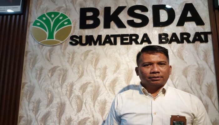 BKSDA Sumbar Susun SOP Pendakian Gunung Cegah Kecelakaan, Fokus Marapi dan Sekitarnya