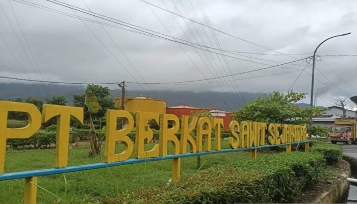 Pekerja PT BSS Pasaman Barat Meninggal Akibat Kecelakaan Kerja, Perusahaan Janji Berikan Santunan