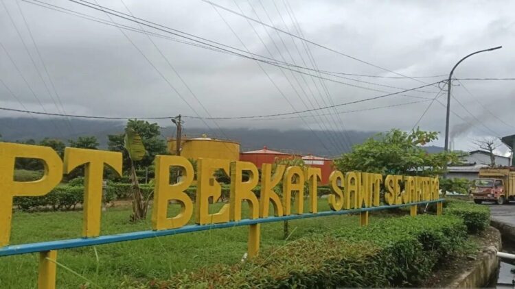 Pekerja PT BSS Pasaman Barat Meninggal Akibat Kecelakaan Kerja, Perusahaan Janji Berikan Santunan 1 Pabrik kelapa sawit PT Berkah Sawit Sejahtera (BSS) di di Simpang Tiga Alin Kecamatan Gunung Tuleh, Kabupaten Pasaman Barat. ANTARA/Altas Maulana.