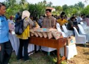 Ribuan Hektare Lahan Petani di Sumatera Utara Dapat Bantuan 22 Ton Lebih Benih Padi Gogo dari PTPN IV Palmco