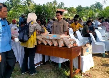 Ribuan Hektare Lahan Petani di Sumatera Utara Dapat Bantuan 22 Ton Lebih Benih Padi Gogo dari PTPN IV Palmco