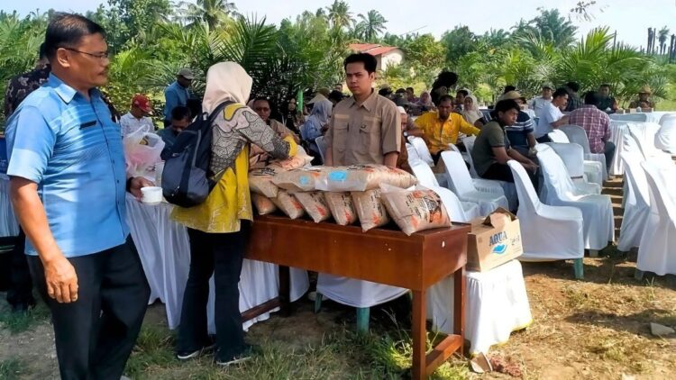 Ribuan Hektare Lahan Petani di Sumatera Utara Dapat Bantuan 22 Ton Lebih Benih Padi Gogo dari PTPN IV Palmco 1 bantuan padi gogo dari PTPN Iv PalmCo