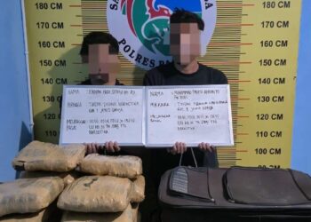 Polisi amankan 12 paket besar ganja dari dua remaja di Pasaman. (dok. istimewa)
