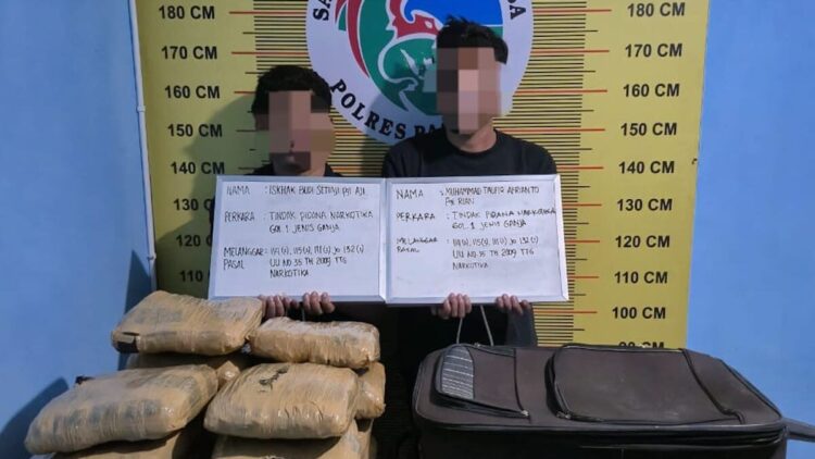 Bawa 21 Paket Besar Ganja, Dua Pemuda Diciduk Satresnarkoba Polres Pasaman 1 Polisi amankan 12 paket besar ganja dari dua remaja di Pasaman. (dok. istimewa)