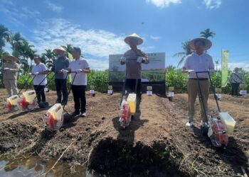 Atasi Kekurangan Jagung, Pemprov Sumbar Jalin Kolaborasi untuk Peningkatan Produksi 1 Program tanam jagung bersama yang digelar Pemprov Sumbar dan Polda Sumbar. (dok. adpsb)