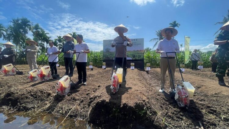 Atasi Kekurangan Jagung, Pemprov Sumbar Jalin Kolaborasi untuk Peningkatan Produksi 1 Program tanam jagung bersama yang digelar Pemprov Sumbar dan Polda Sumbar. (dok. adpsb)