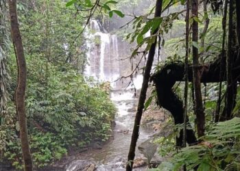 Sungai Wabudori di Papua yang akan dimanfaatkan untuk PLTM. (dok. istimewa)