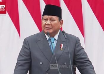 3,1 Juta Hektare Kebun Sawit Ilegal Dikuasai Negara, Presiden: Kita Hadapi yang Melawan