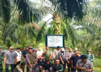 Satgas PKH Tertibkan Ribuan Hektare Cagar Alam Maninjau yang Beralih jadi Perkebunan