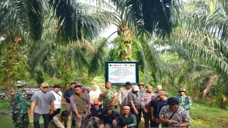 Satgas PKH Tertibkan Ribuan Hektare Cagar Alam Maninjau yang Beralih jadi Perkebunan 1 Tim Satgas PKH Pusat sedang memasang plang pemberitahuan kawan hutan Cagar Alam Maninjau, Selasa (5/8). Dok ANTARA/Yusrizal