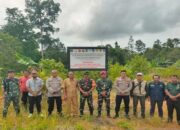 Satgas PKH Tertibkan Ratusan Hektare Hutan di Mentawai, Lindungi Satwa Endemik