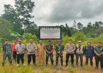 Satgas PKH Tertibkan Ratusan Hektare Hutan di Mentawai, Lindungi Satwa Endemik