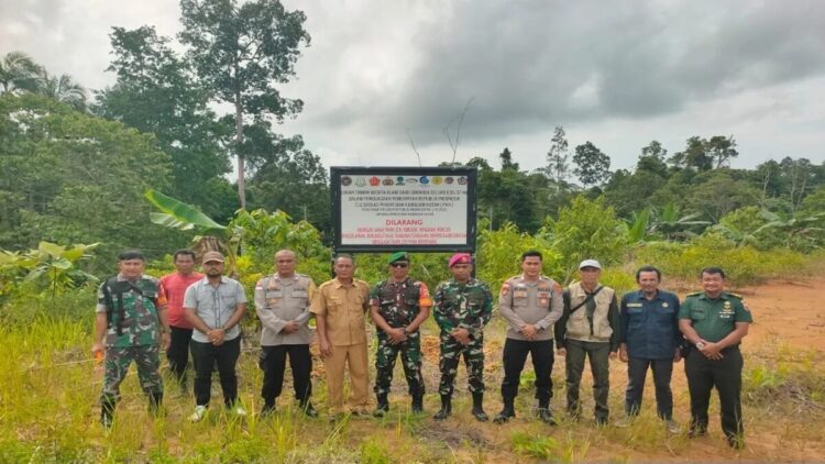 Tim Satgas PKH melakukan penertiban lahan di Taman Wisata Alam (TWA) Saibi Sarabua, Mailepet, Siberut Selatan, Kabupaten Kepulauan Mentawai, Sumatra Barat (Sumbar) pada Rabu (6/8). ANTARA/HO-KejatiSumbar