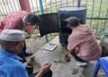 Jelang HUT ke-80 RI, Rutan Lubuk Sikaping Produksi Ikan Salai Karya Warga Binaan