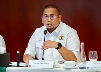 Bantu Perbaikan Jembatan Viral di Pasaman, Andre Rosiade Tinjau ke Lokasi 13 Agustus