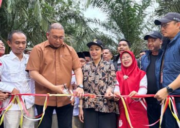 Andre Rosiade Resmikan Pemakaian Tower Telkomsel di Sinamar, Dharmasraya