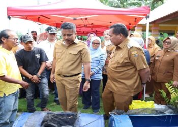Pemprov Sumbar Dukung Budidaya Lele di Pariaman, 100 Induk Unggul Diserahkan
